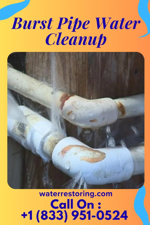 Burst Pipe Water Cleanup in Lincolnia, VA